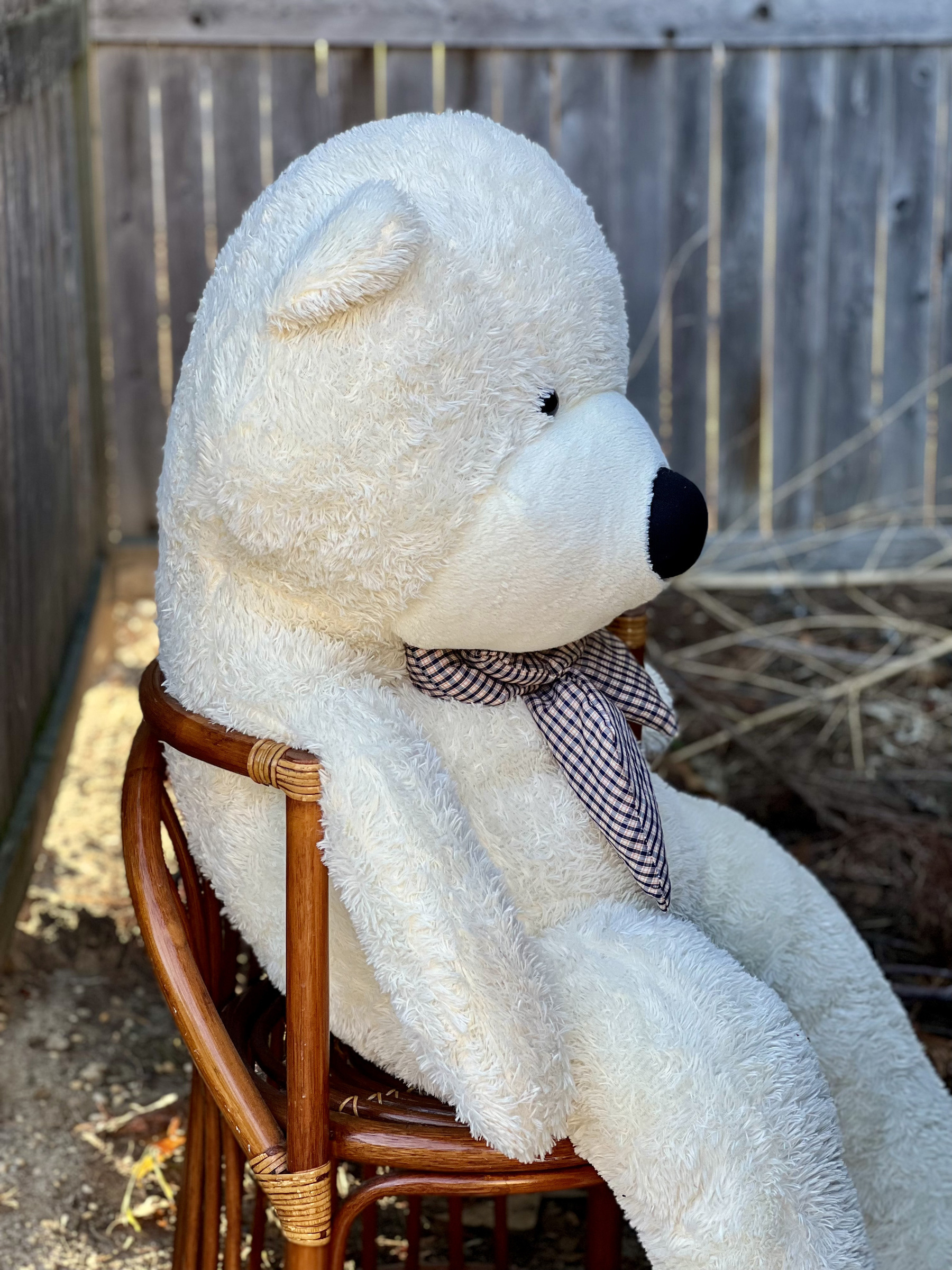 Large teddy bear sitting in chair